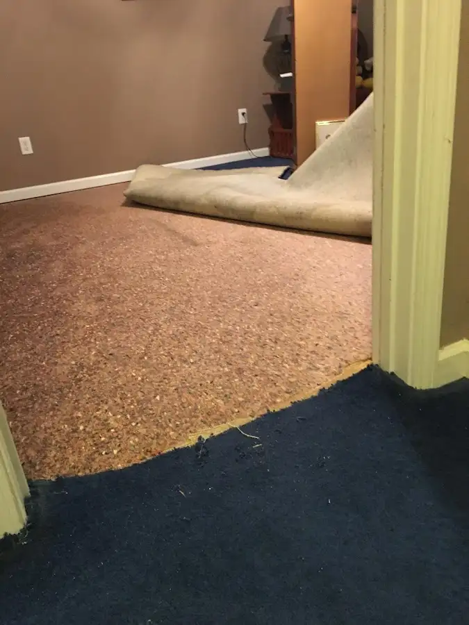 Carpet pad removal revealing water damage during Water Mitigation Services in New Providence