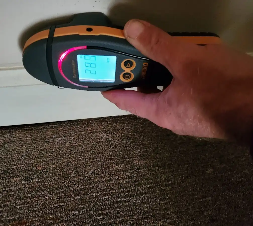 Moisture detection at baseboard during Sewage Cleanup & Sanitation in New Providence